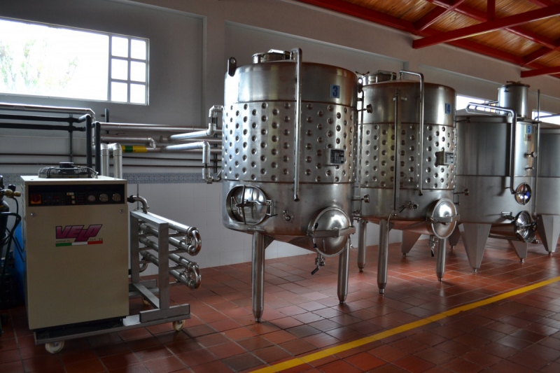 cave-ST LEGER-min_wine_production_cantine_winery_drink_alcohol_vine_beverage-902036